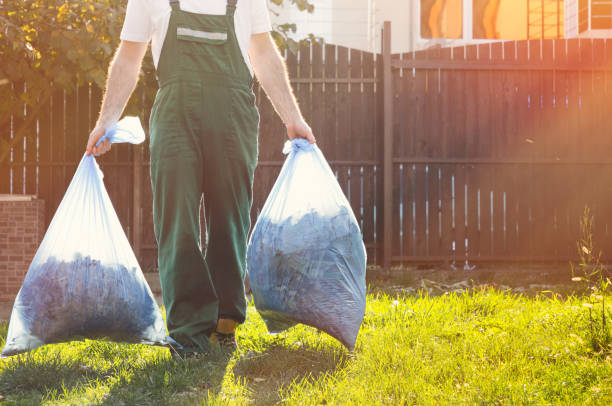 Best Shed Removal  in New Madison, OH